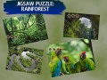 Permainan Puzzle Hutan Hujan secara online