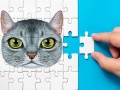 Permainan Tantangan Puzzles Abyssinian secara online