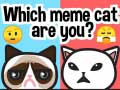 Permainan Kucing meme mana kamu? secara online