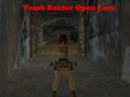 Permainan Tomb Raider: Lara Terbuka secara online