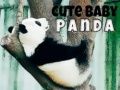 Permainan Panda Bayi Lucu secara online