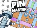 Permainan Master Pin secara online