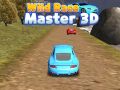 Permainan Master Balap Liar 3D secara online