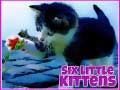 Permainan Enam Kucing Kecil secara online