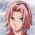 Sakura Sakura daring
