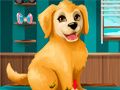 Permainan Jadilah Pekerja Grooming Anak Anjing secara online