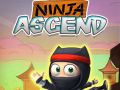 Permainan Ninja Naik secara online