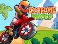 Permainan Pengendara Ekstrem secara online