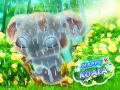 Permainan Koala Bahagia secara online