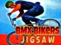 Permainan Puzzle Pengendara BMX secara online