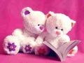 Permainan Seluncuran Beruang Teddy Imut secara online