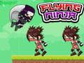 Permainan Ninja Terbang secara online