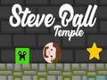 Permainan Kuil Steve Ball secara online