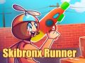 Permainan Pelari Skibronx secara online