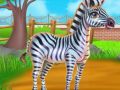 Permainan Perawatan Zebra secara online