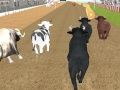 Permainan Balapan Banteng Marah secara online