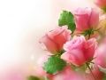 Permainan Mawar Pink secara online