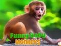 Permainan Monyet bayi lucu secara online