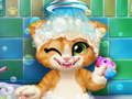 Permainan Mandi Anak Kucing Berkarat secara online