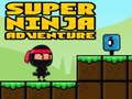 Permainan Ninja Petualangan Super secara online