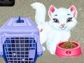 Permainan Perawatan Hewan Peliharaan Baby Taylor secara online