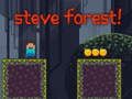 Permainan Hutan Steve secara online