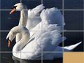 Permainan Puzzle Geser Hewan secara online Permainan Puzzle Geser Hewan secara online