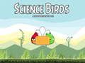 Permainan Burung Sains secara online