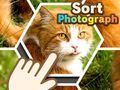 Permainan Mengurutkan Foto secara online