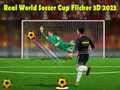 Permainan Piala Dunia Sepak Bola Nyata Flicker 3D 2023 secara online Permainan Piala Dunia Sepak Bola Nyata Flicker 3D 2023 secara online