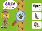 Permainan Dunia Jejak Alice secara online