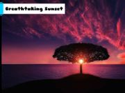 Permainan Senja yang menakjubkan secara online