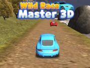 Permainan Master Balap Liar 3D secara online