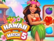Permainan Kecocokan Hawaii 5 secara online