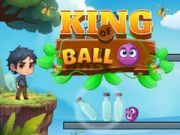 Permainan Raja Bola secara online