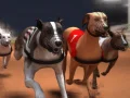 Permainan Balap Anjing Greyhound secara online