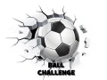 Permainan Tantangan Bola secara online Permainan Tantangan Bola secara online