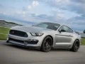 Permainan Puzzle Mustang Shelby secara online Permainan Puzzle Mustang Shelby secara online