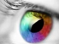 Permainan Warna dan Desain secara online Permainan Warna dan Desain secara online