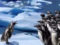 Permainan Seluncuran Penguin secara online