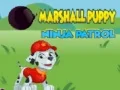 Permainan Patroli Ninja Anak Anjing Marshall secara online Permainan Patroli Ninja Anak Anjing Marshall secara online