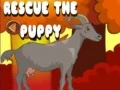 Permainan Selamatkan Anak Anjing secara online
