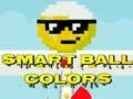 Permainan Bola Pintar Warna secara online