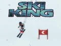 Permainan Raja Ski secara online
