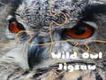 Permainan Teka-Teki Burung Hantu Liar secara online Permainan Teka-Teki Burung Hantu Liar secara online