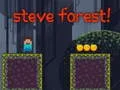 Permainan Hutan Steve secara online