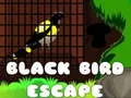 Permainan Pelarian Burung Hitam secara online