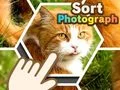 Permainan Mengurutkan Foto secara online Permainan Mengurutkan Foto secara online