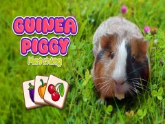 Permainan Pencocokan Guinea Piggy secara online