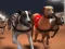 Permainan Balap Anjing Greyhound secara online